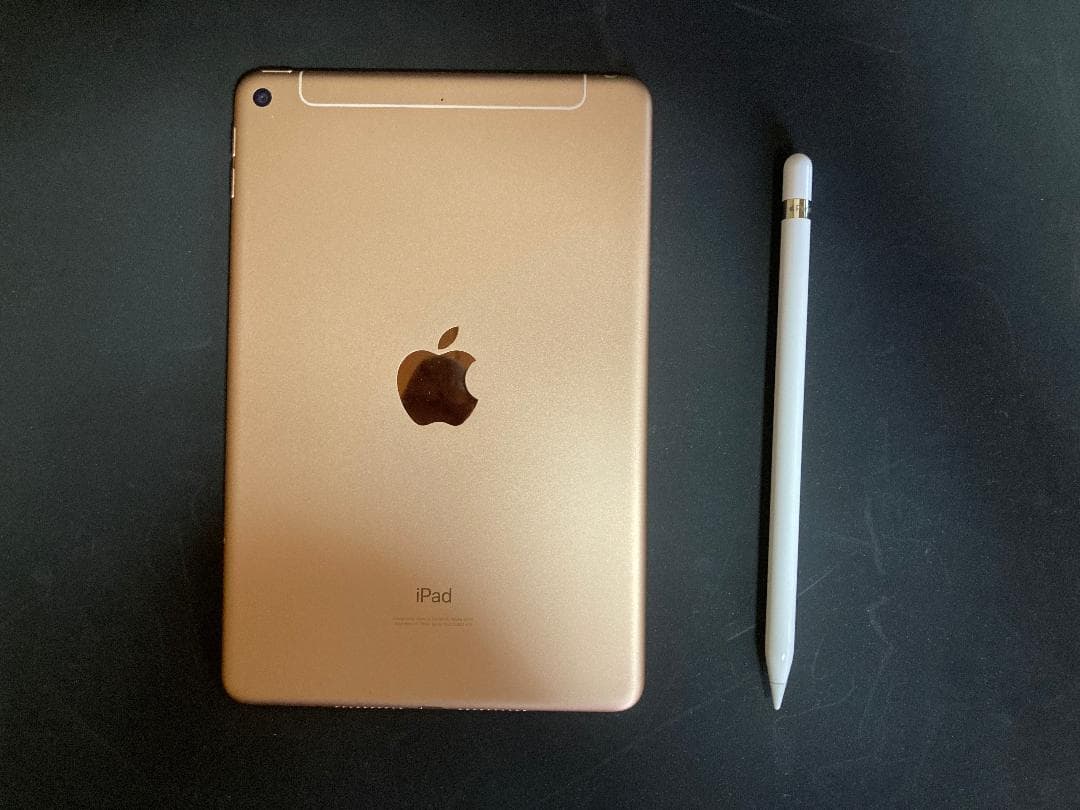 iPad mini 第5世代 64GB Cellular + 純正 pencil