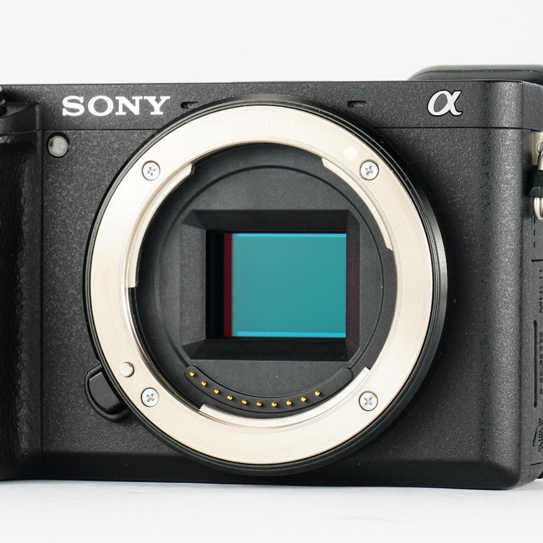 2度と戻らない瞬間を美しく、最高カメラ SONY α6400 ミラーレス 557