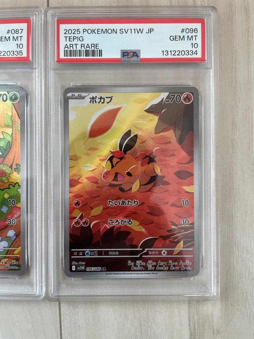 PSA10 ツタージャ ポカブ ミジュマル AR 3連番