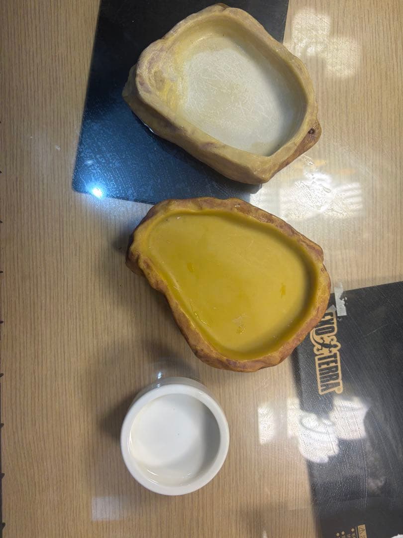 爬虫類飼育セット グラステラリウム6030＋ライト・食器類付き