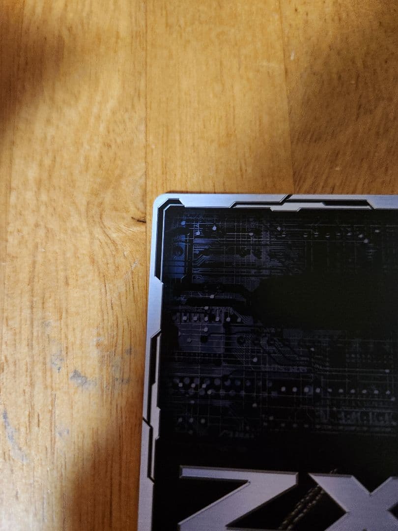 z/x 桜街紗那 IGR