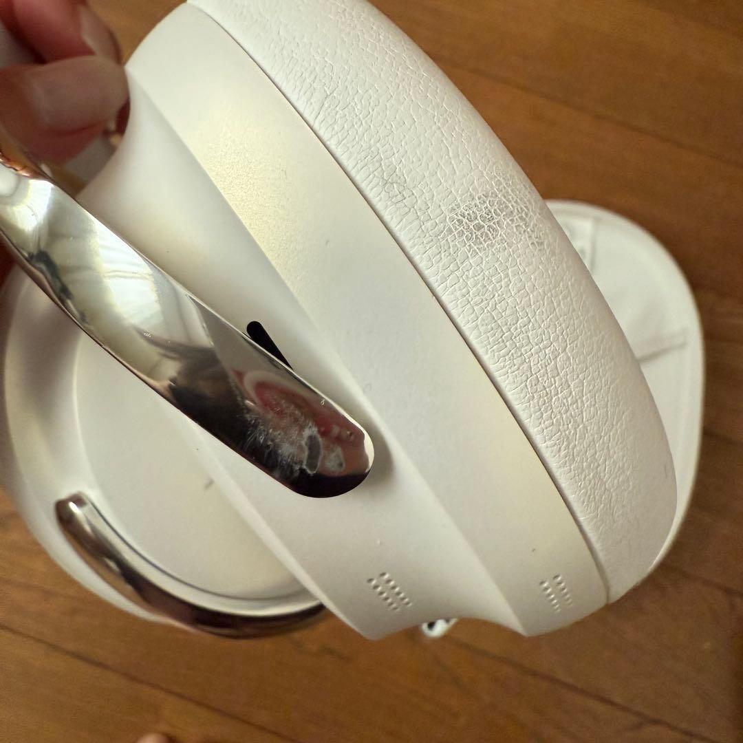 【からし蓮根】Bose QuietComfort