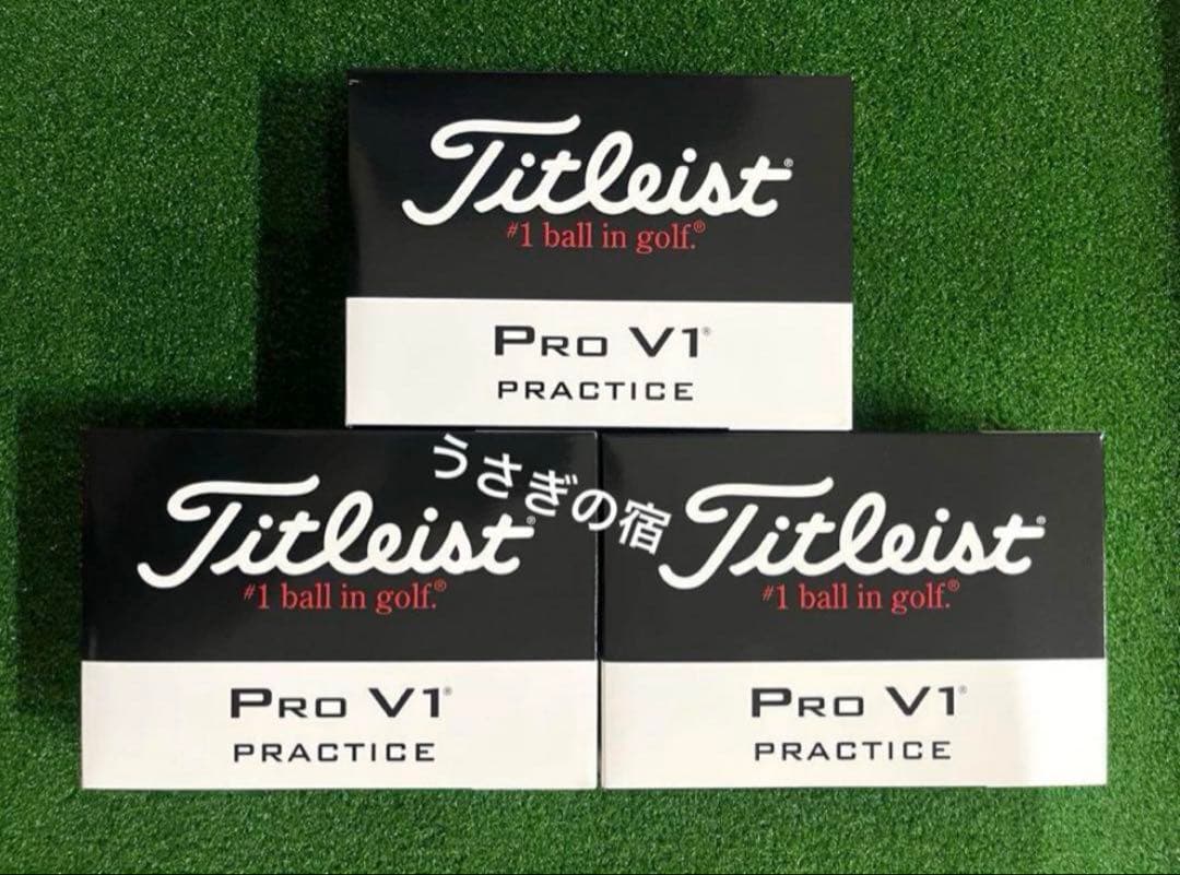 タイトリストTitleist Pro V1 Practice ゴルフボール