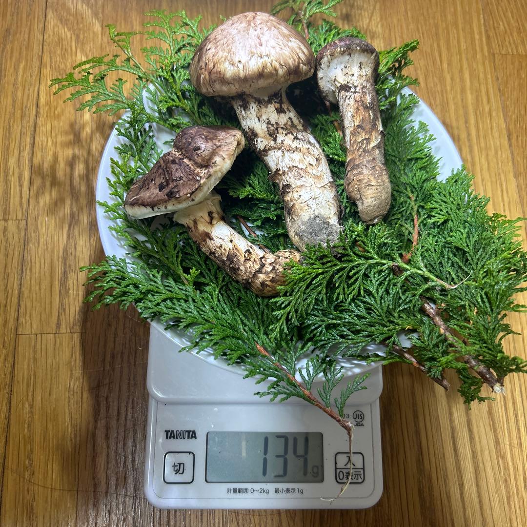 岩手県産松茸134ｇ！！