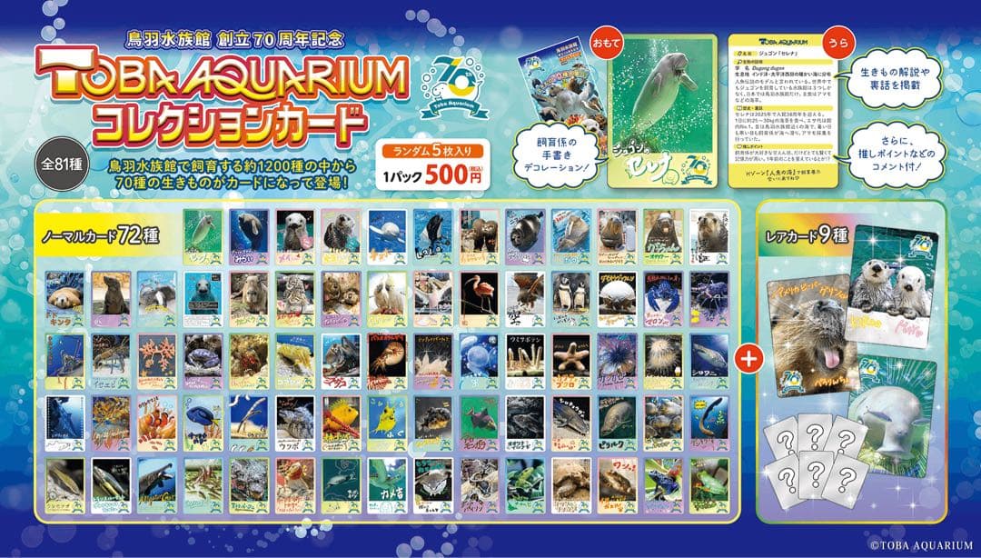 た*ま様 最安値　鳥羽水族館　メイセット(レア+ノーマル)