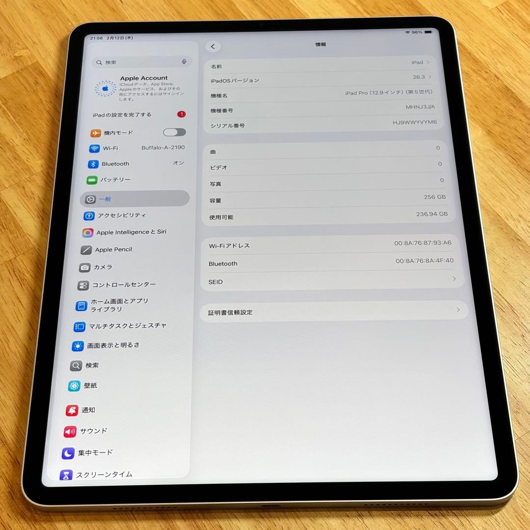 美品　iPad Pro 12.9インチ 第5世代　256GB Wi-Fiモデル