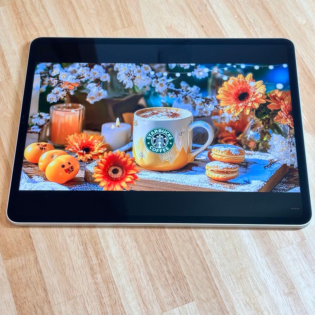 美品　iPad Pro 12.9インチ 第5世代　256GB Wi-Fiモデル