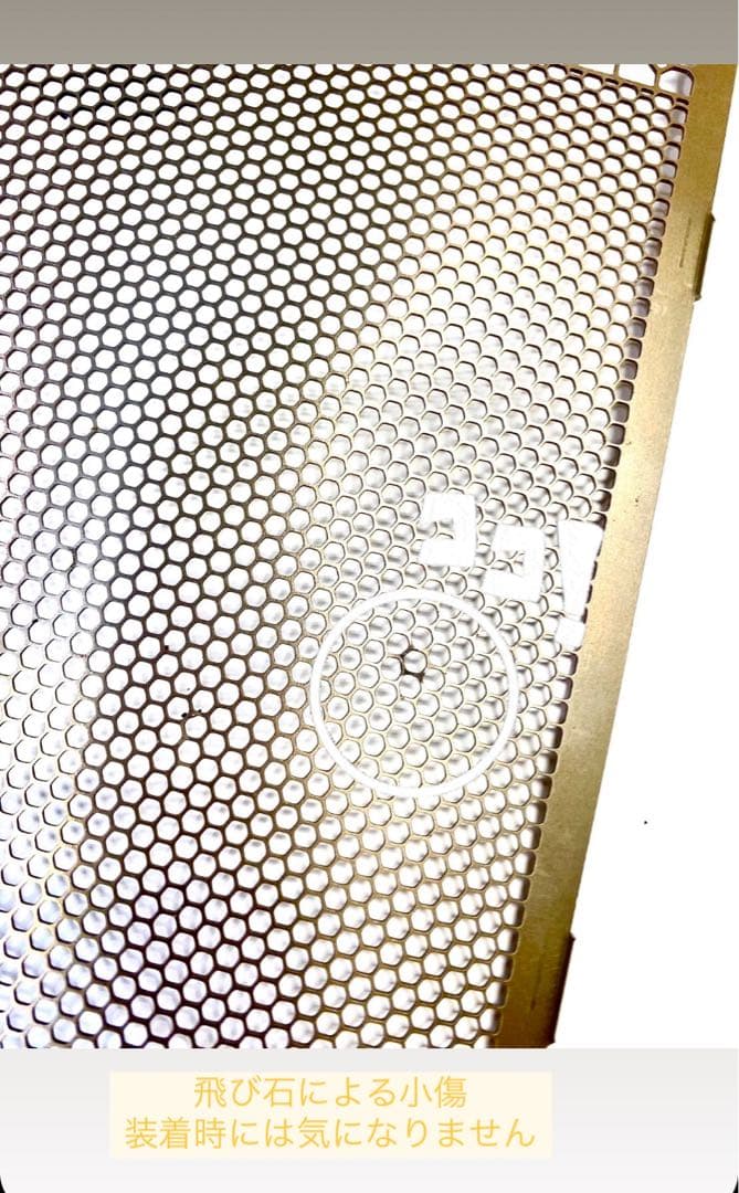 Z900RS チタニウムパワー　チタンメッシュラジエターコアガード