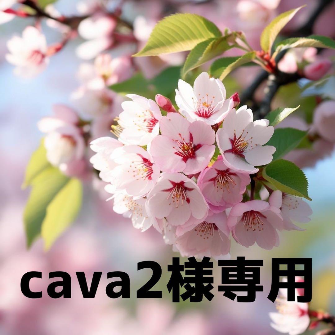 cava2　①⑤番