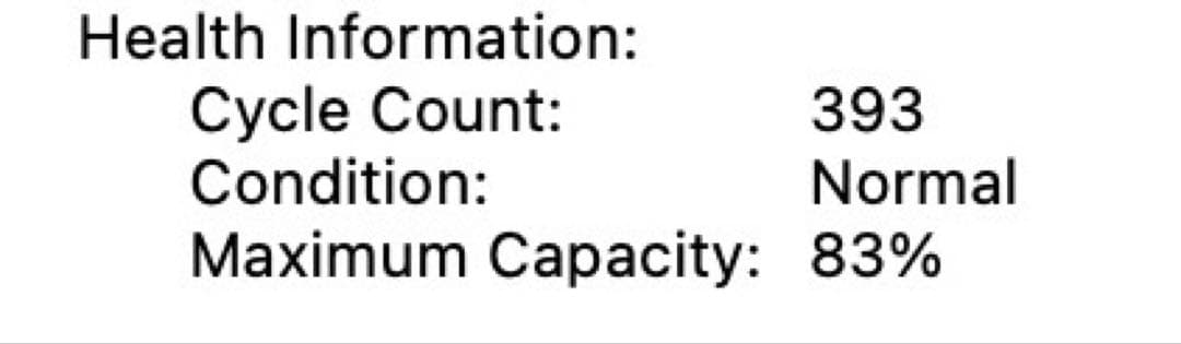 MacBook Pro M1 2020 13インチ 純正充電器・ケース付き