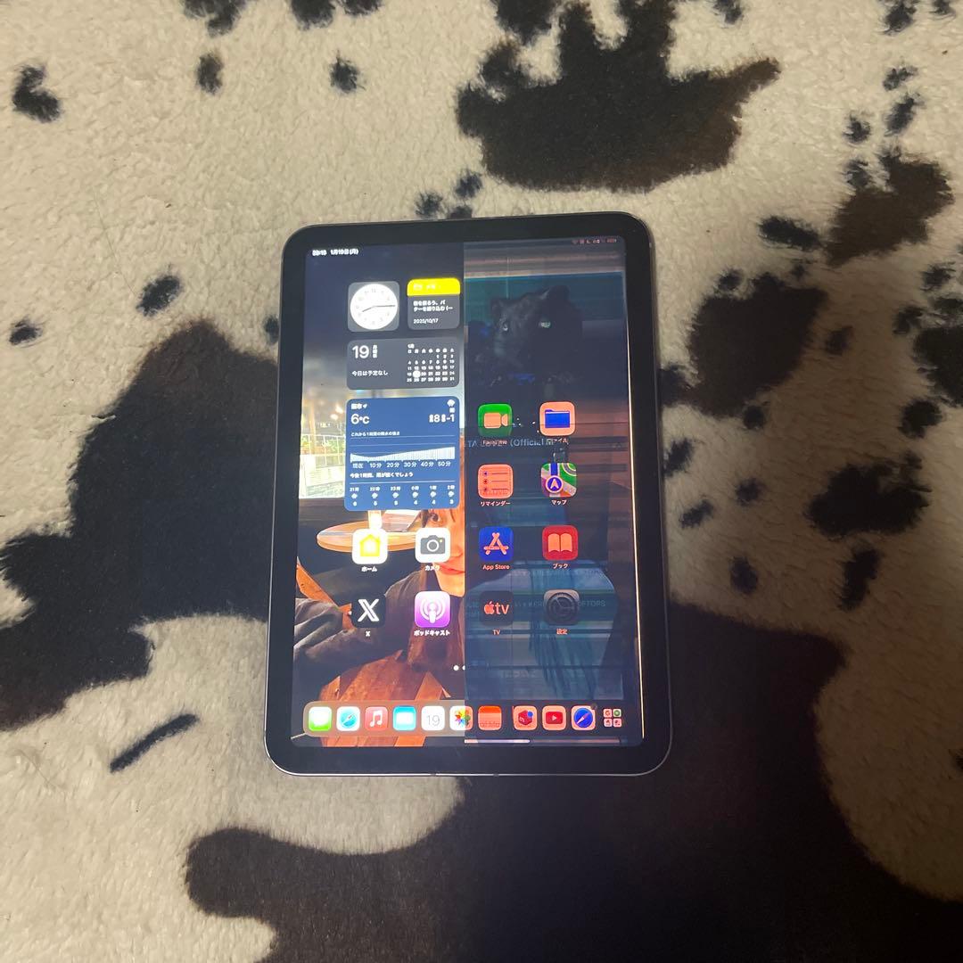 ipad mini 第6世代　256GB セルラーモデル