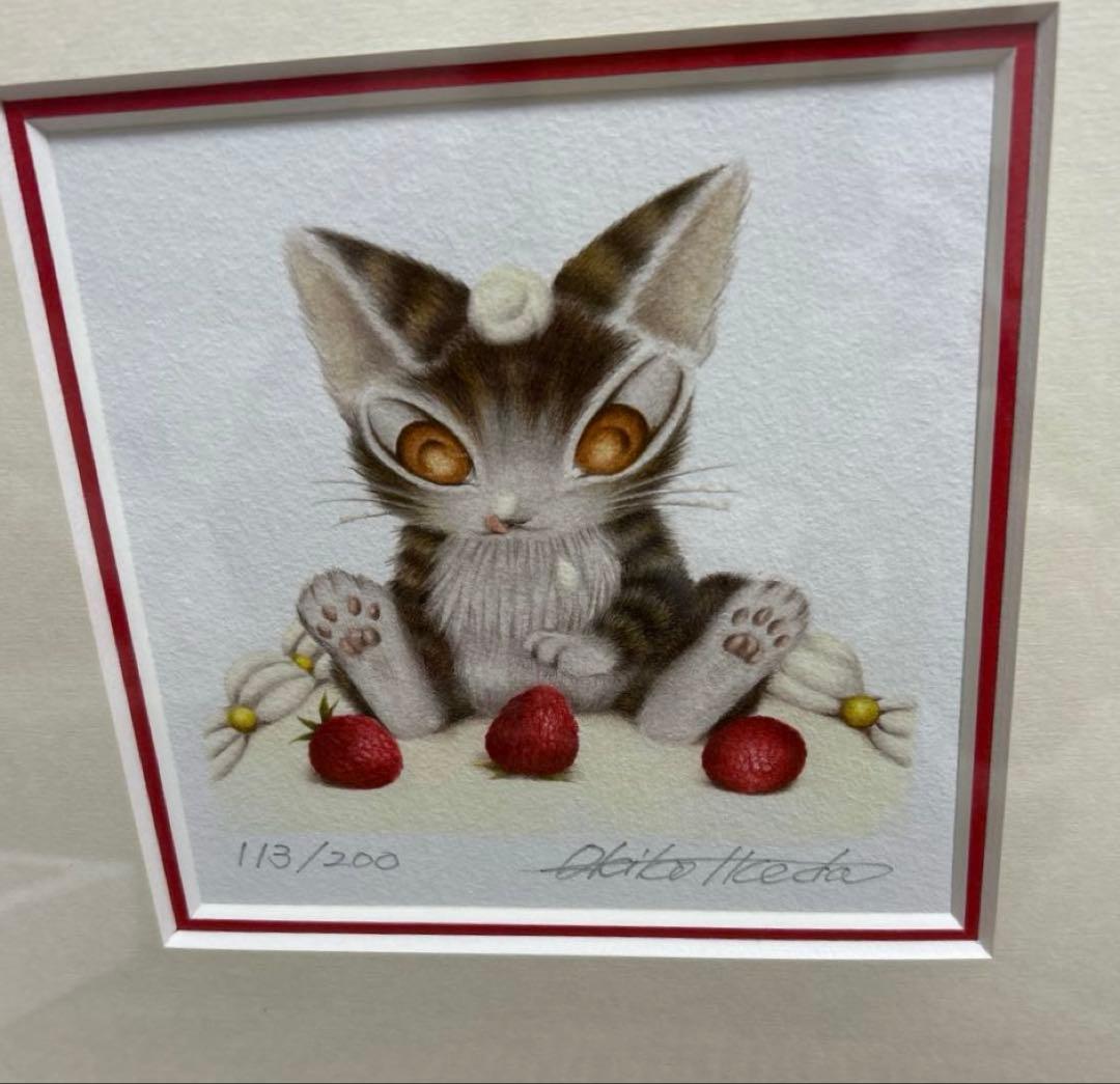 ダヤン　わちふぃーるど　池田あきこ　 『クリームをペロリ』