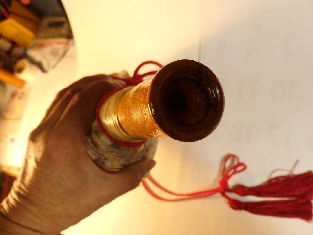 法螺貝 約41㎝ 木製歌口,赤紐付　新品　 MH-448