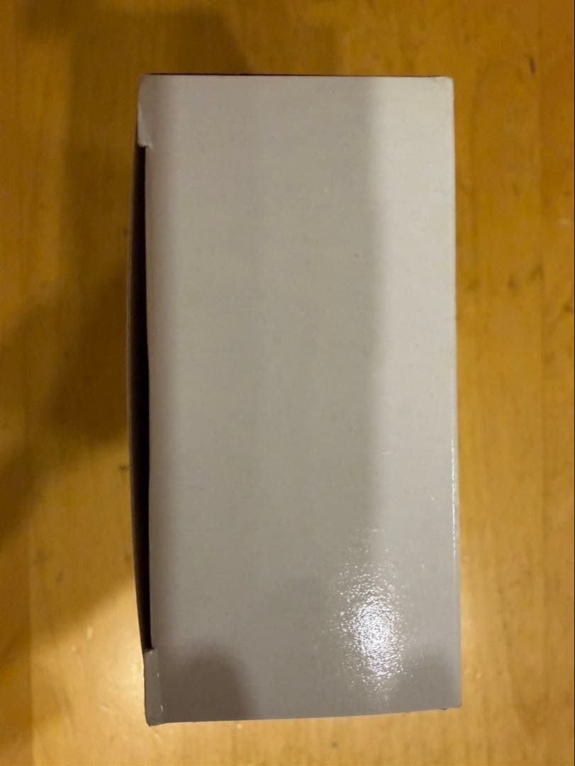 SONY WALKMAN NW-A55 ムーンリットブルー