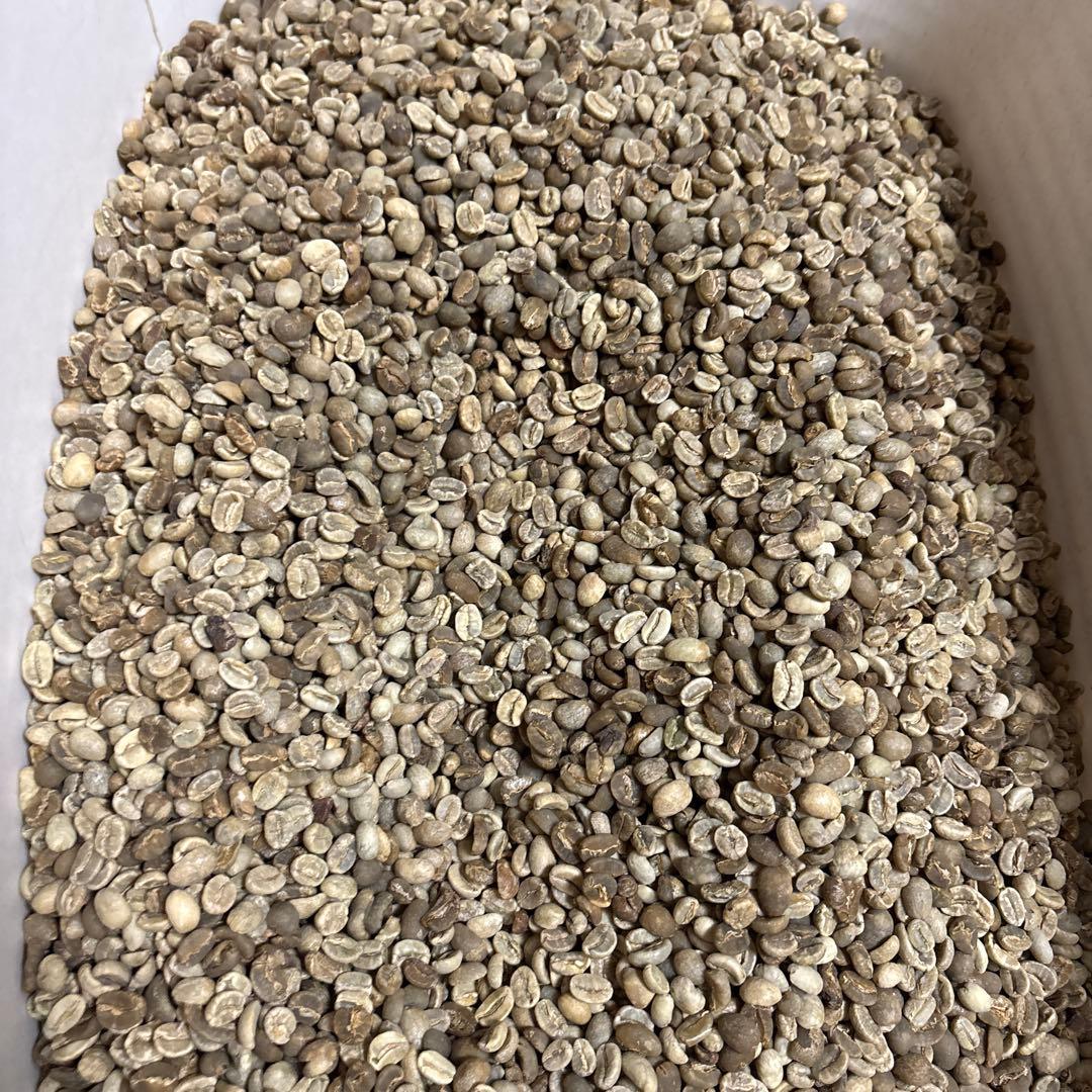 コロンビア5kg/アチェ/ガヨマウンテン3kg特別2種/合計8kg