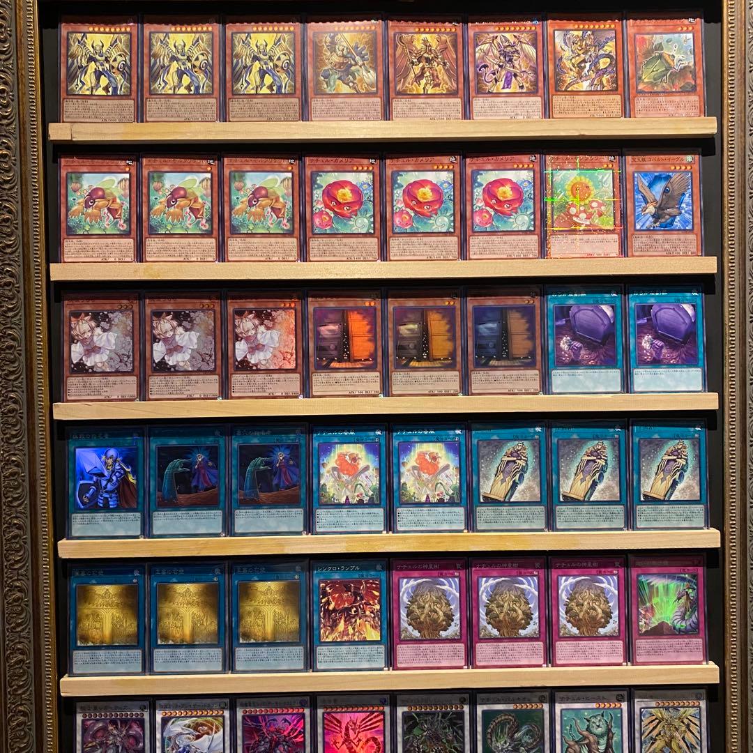 即日発送！大会用　ナチュルホルス　デッキ　遊戯王　ナチュルスティンクバグ