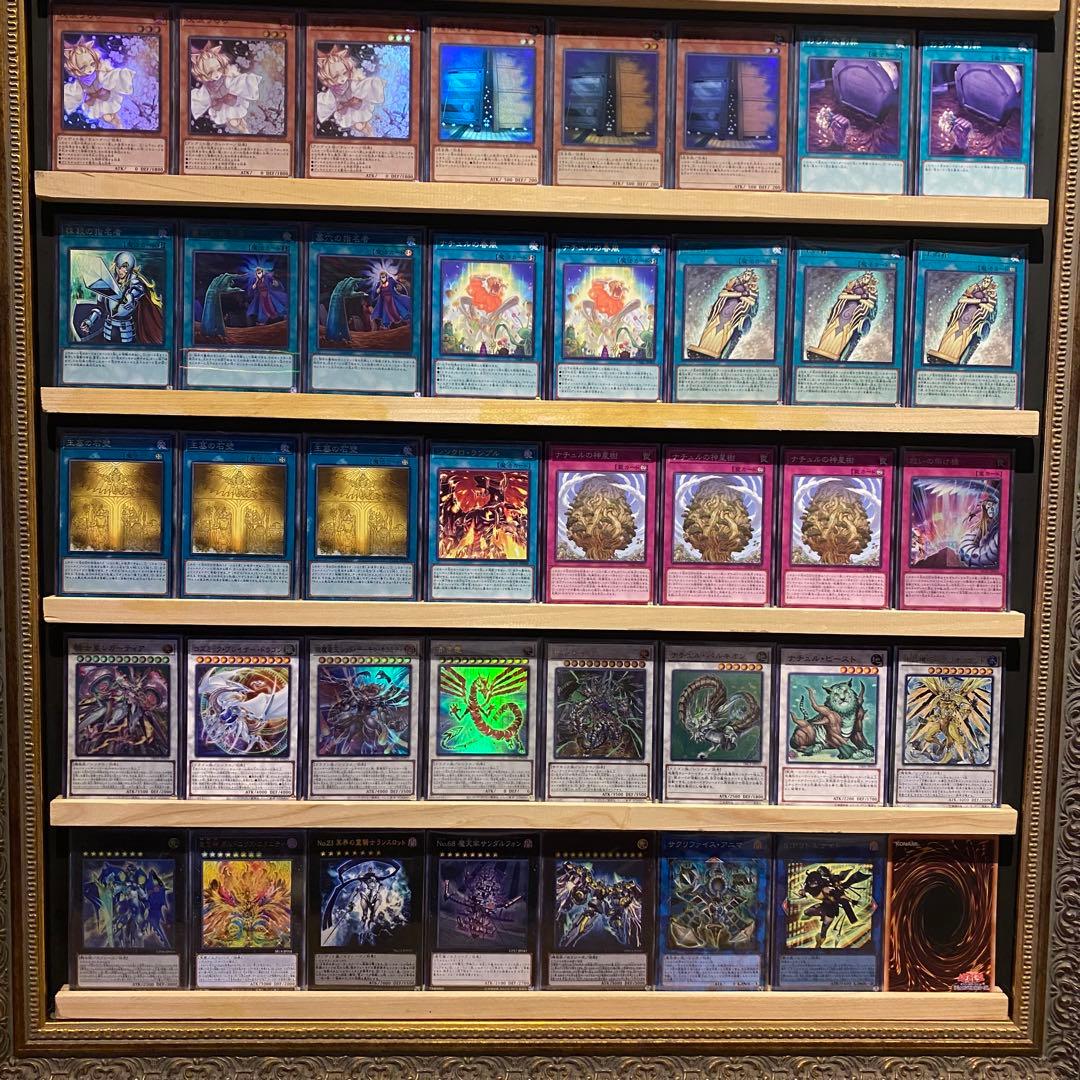 即日発送！大会用　ナチュルホルス　デッキ　遊戯王　ナチュルスティンクバグ