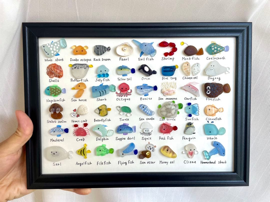 48種の海の生き物⭐︎大図鑑　ギフト　プレゼント　ジンベイザメ　シャチ　くじら