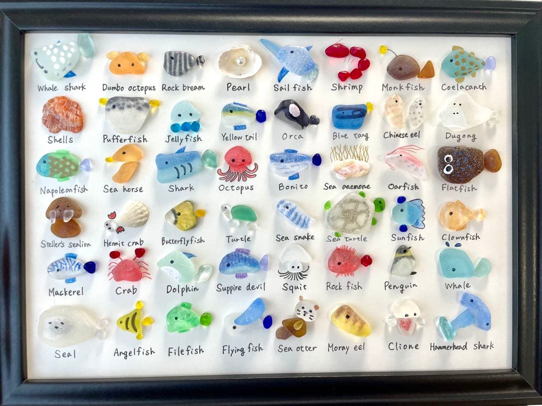48種の海の生き物⭐︎大図鑑　ギフト　プレゼント　ジンベイザメ　シャチ　くじら
