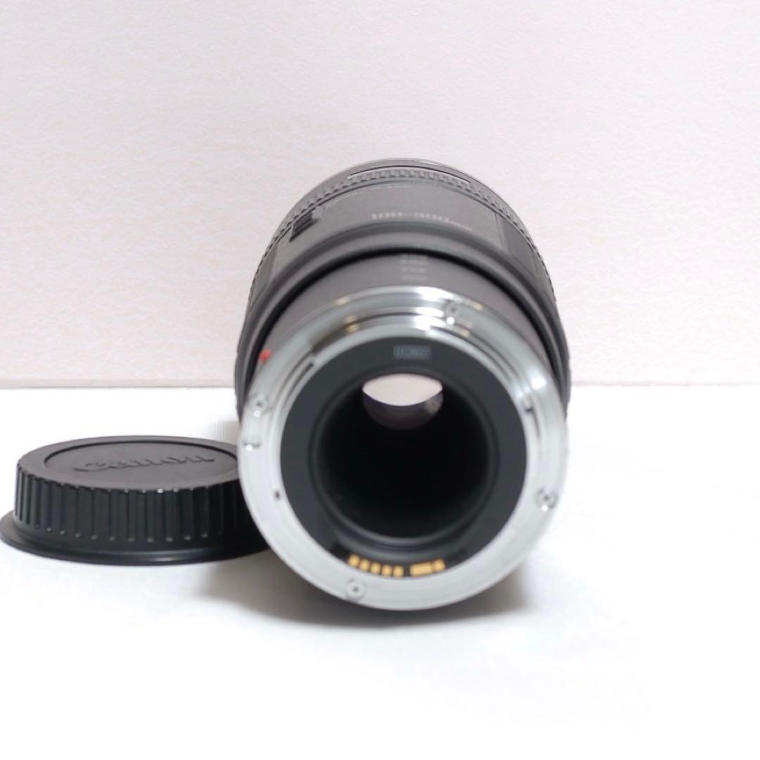 Lレンズ✨Canon EF 100-300mm 1:5.6 L✨超望遠レンズ✨