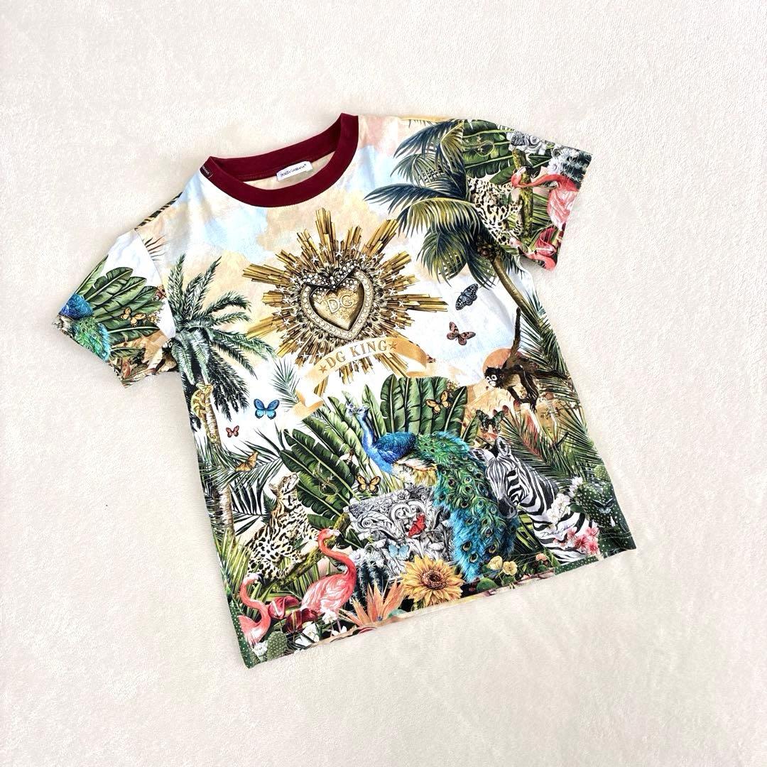 DOLCE&GABBANA ドルチェアンドガッバーナ　トロピカルラブ　130