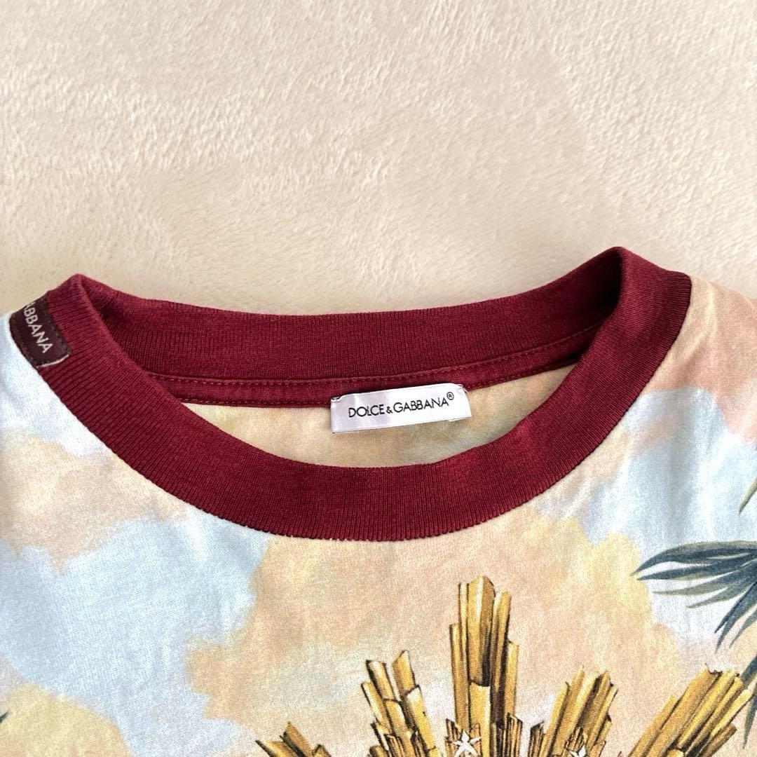 DOLCE&GABBANA ドルチェアンドガッバーナ　トロピカルラブ　130