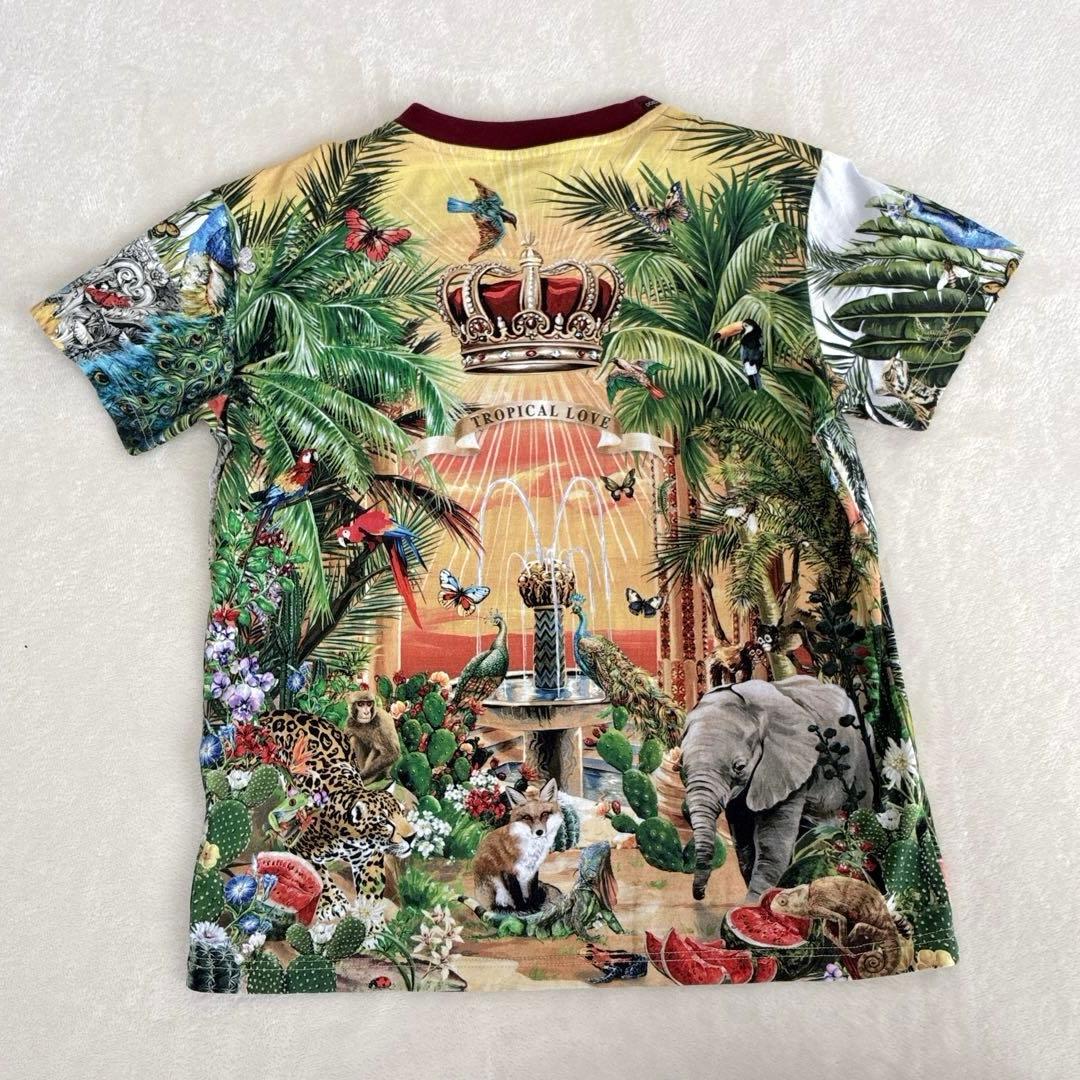 DOLCE&GABBANA ドルチェアンドガッバーナ　トロピカルラブ　130