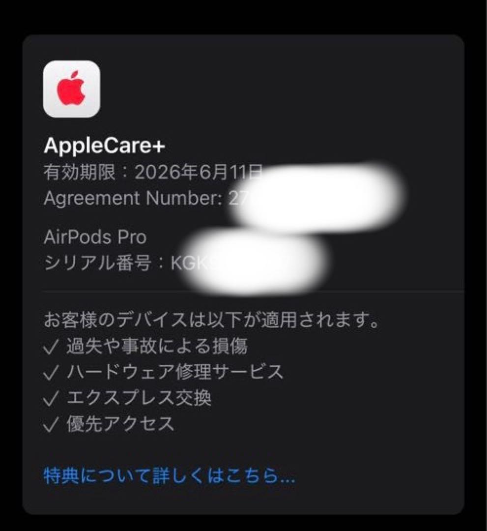 AirPods Pro 2(USB-C) 本体 アップルケア+ 6月11日まで