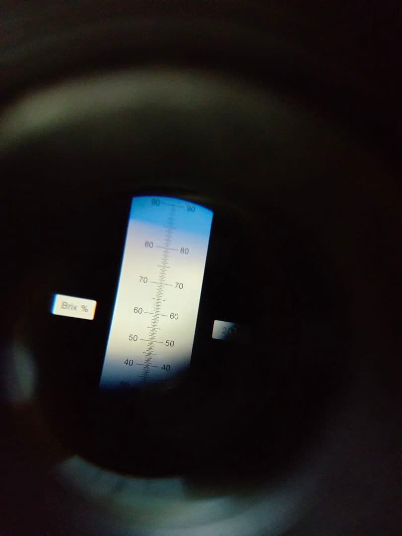 日本蜜蜂　百花蜜　600g×2　天然非加熱　　　ハチミツ