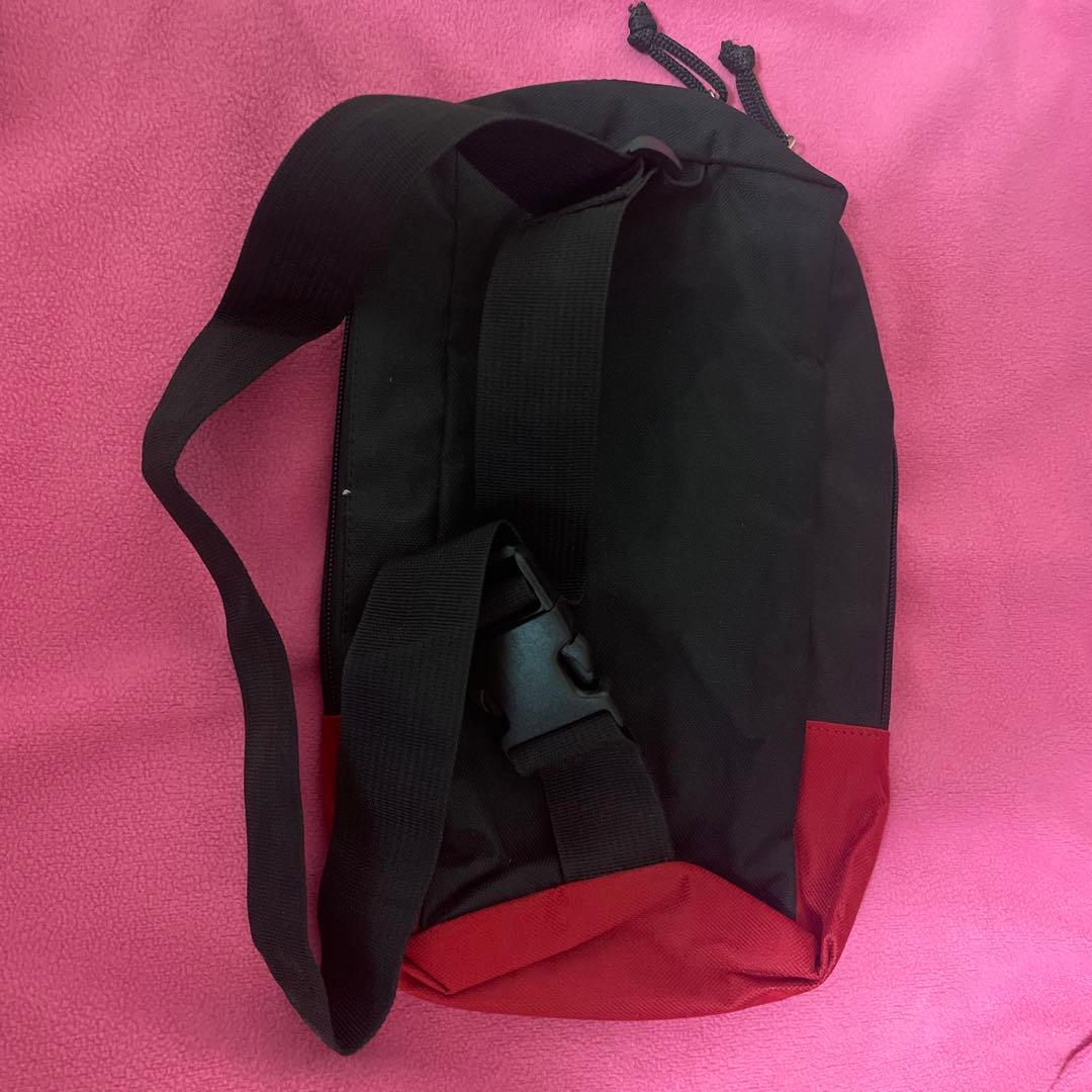 ポケモン　ゾロアーク　ゾロア4点セット　ぬいぐるみ　　タオル　バッグ　ケース