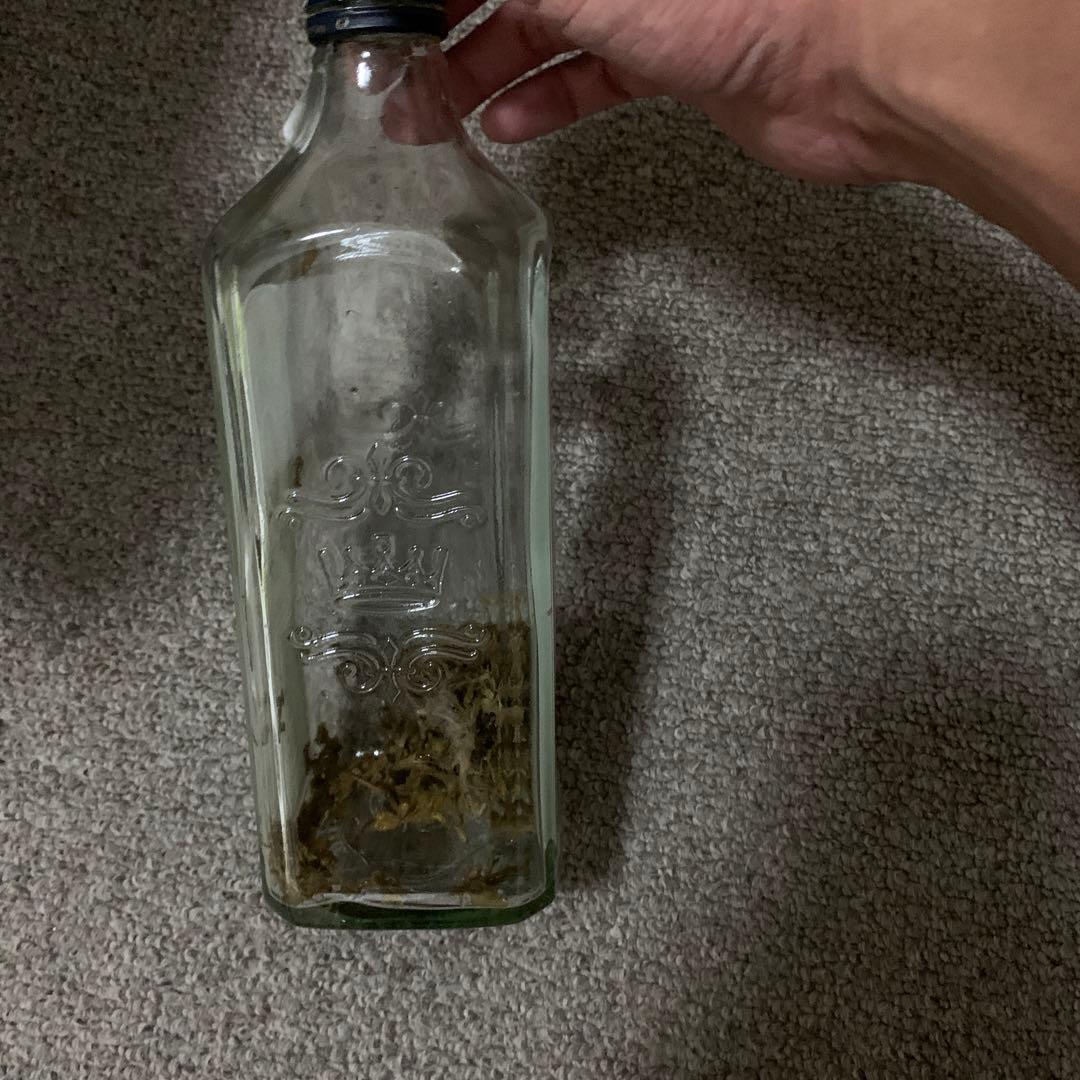 ボンベイドライジンにハーブを漬け込んだ、空瓶