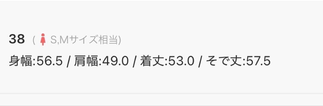 DANTON グレー フード付きパーカー サイズ38