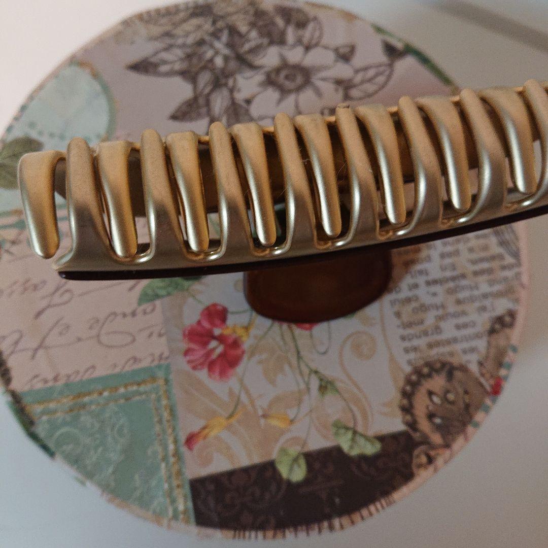 ☆アレクサンドゥルパリ クリップ大きいサイズ☆