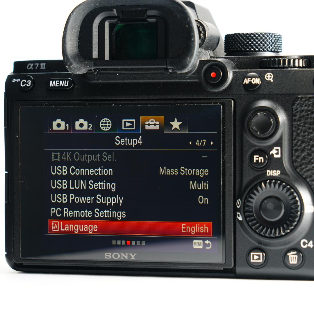 【完全セット】SONY α7III極美品！17609回/20万 すぐ撮影可能