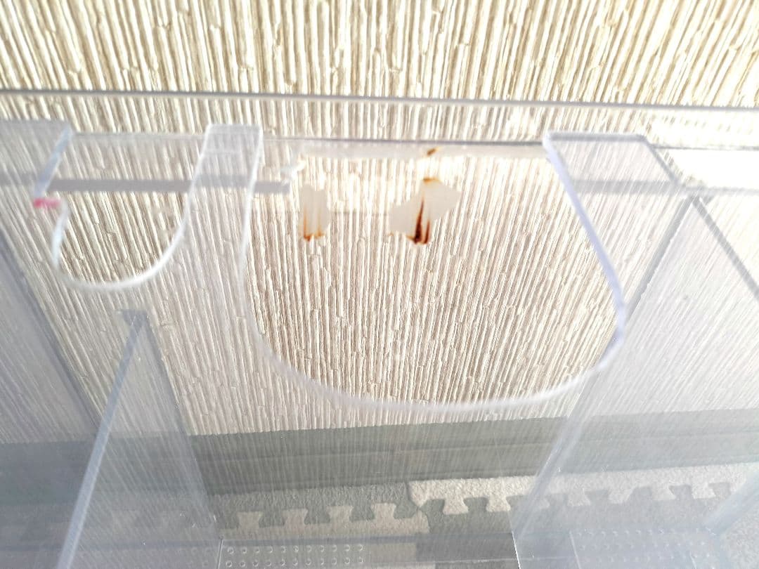 オーバーフロー曲げガラス水槽 濾過槽　セット　排水管付き