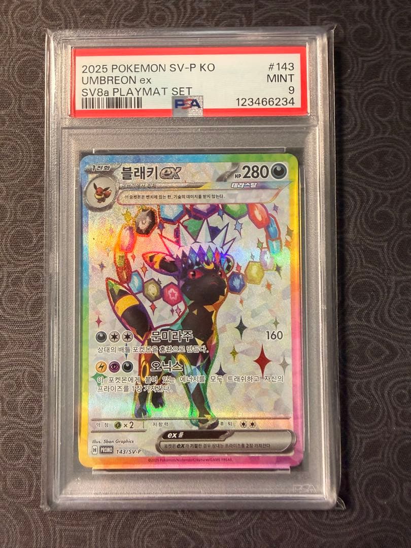 PSA9 ブラッキーex 韓国　テラスタルフェスex