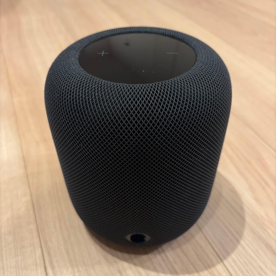 Apple Pod 第二世代 (⚠️ジャンク)