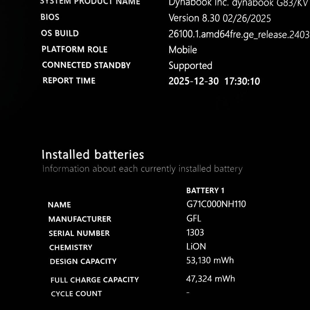 美品 Dynabook 超軽量 驚速 12世代i5 16GB 512GB 19