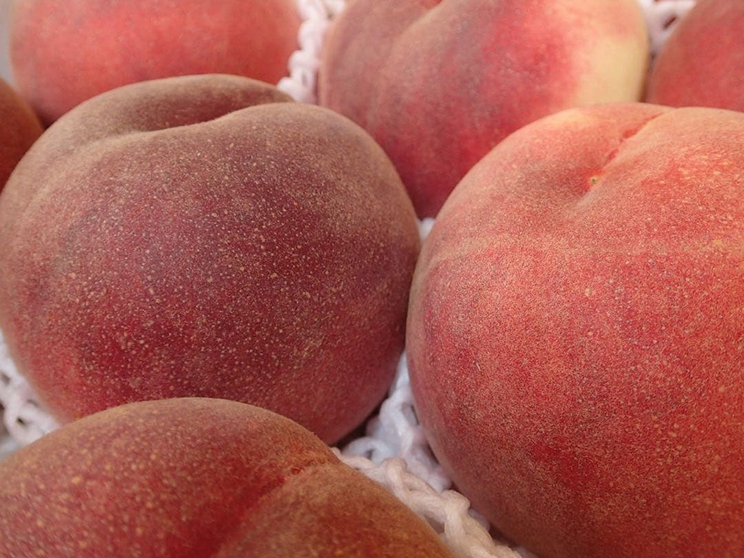 山梨一宮のてっぺん桃　幸茜の超特大サイズを5個詰め発送　終了間近　ももやのきよし