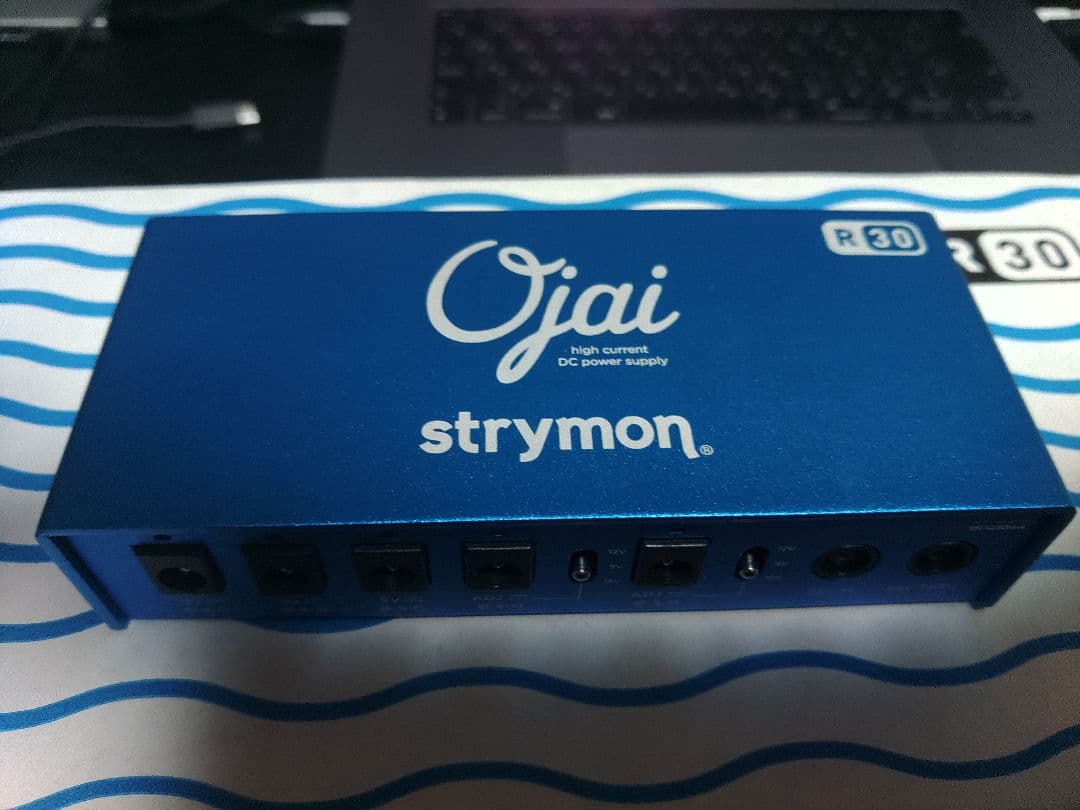 その他 Strymon Ojai R30