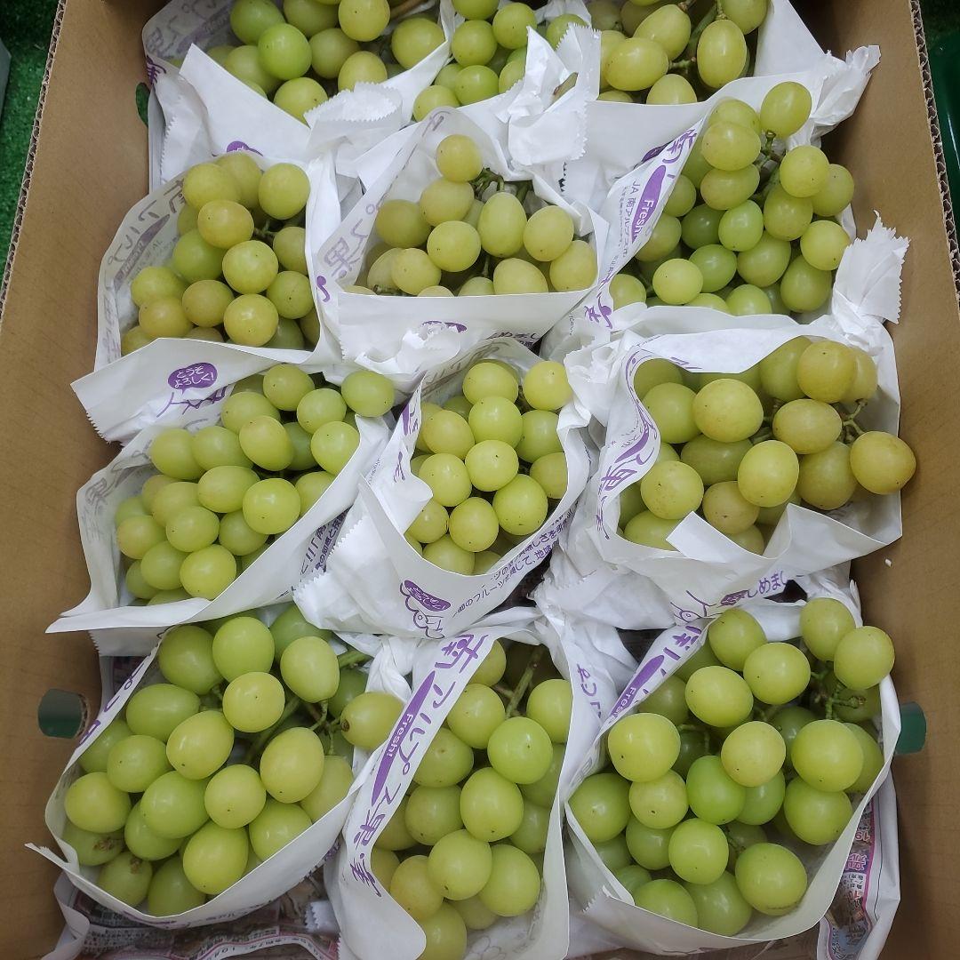 9️⃣ 山梨県産 シャインマスカット １２房入り 箱込み5.4キロ