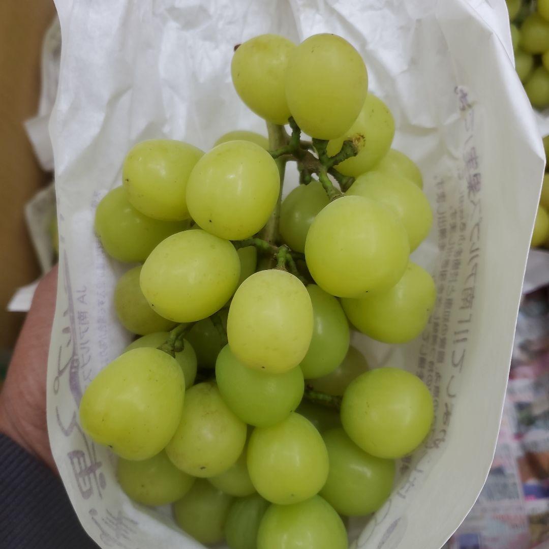 9️⃣ 山梨県産 シャインマスカット １２房入り 箱込み5.4キロ