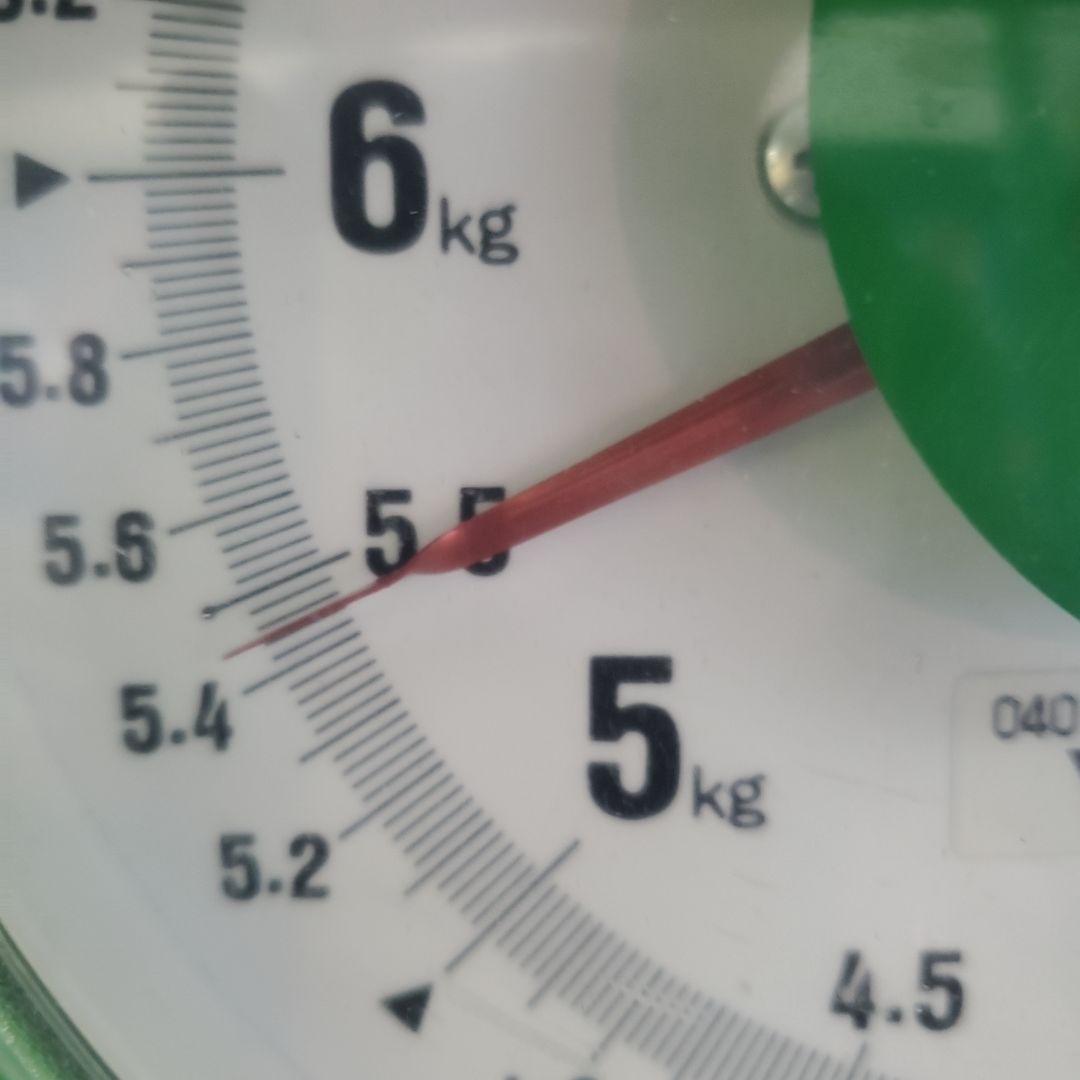 9️⃣ 山梨県産 シャインマスカット １２房入り 箱込み5.4キロ