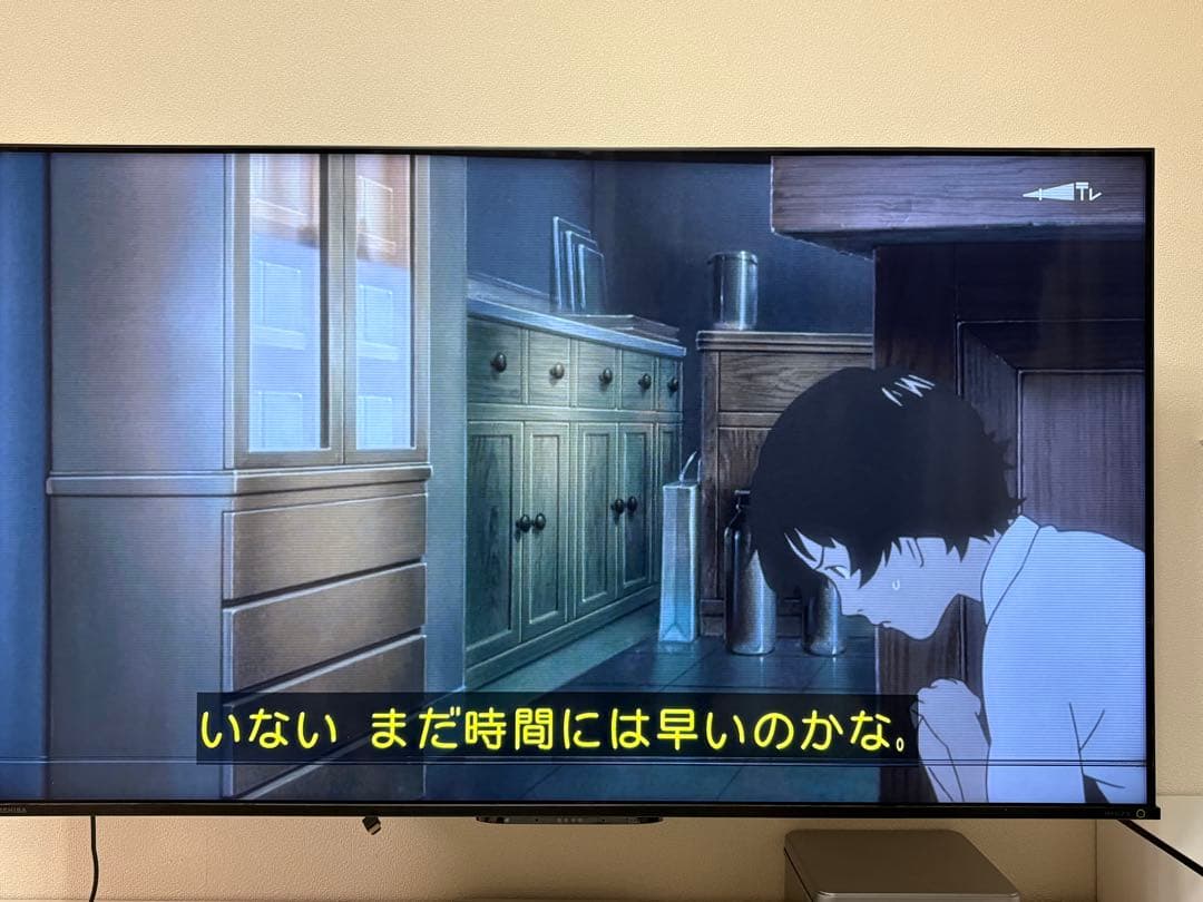 【ジャンク】REGZA 55Z570K（2022年モデル） 下部に横線あり