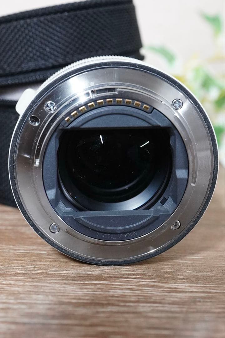 SONY SEL20TC 2.0X Teleconverter ソニー テレコン