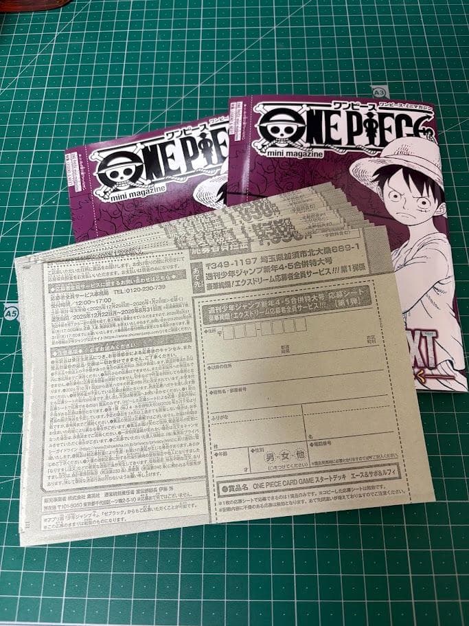 即日発送 エース&サボ&ルフィ20セット応募用 週刊少年ジャンプ 新年45合併号