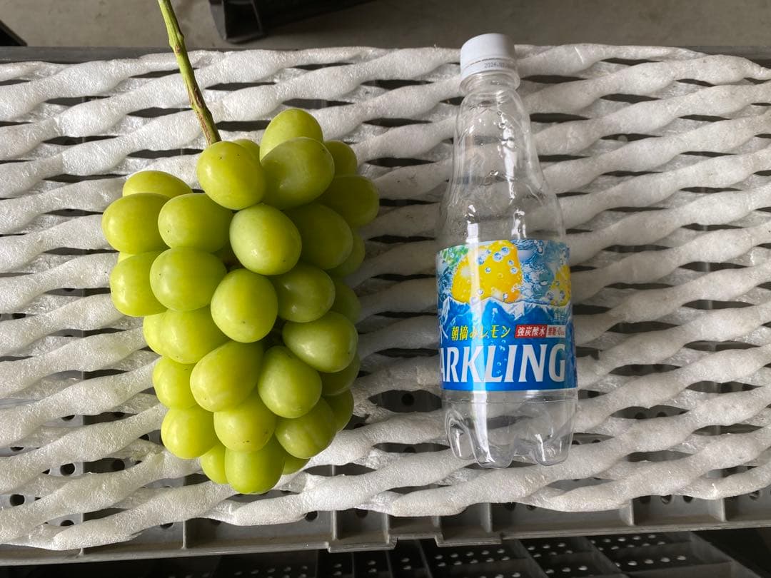 大粒　シャインマスカット　10房➕おまけ