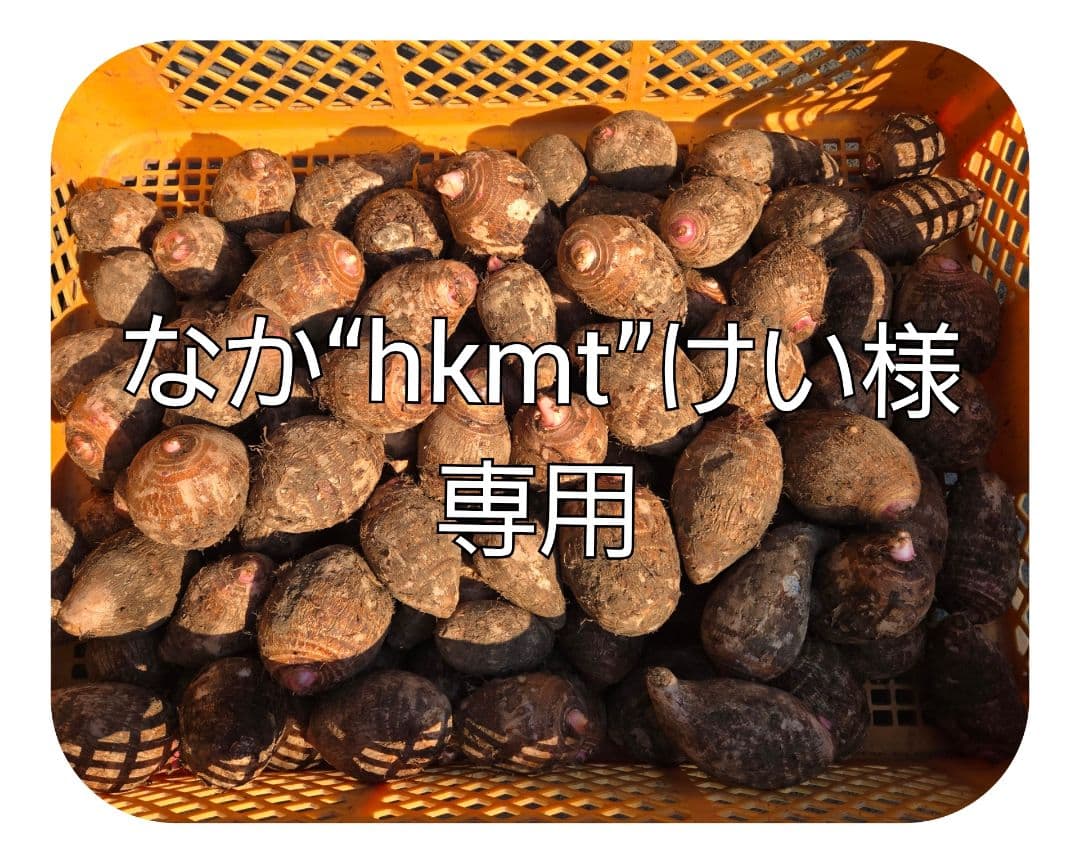 宮崎県産　里芋　赤芽芋30kg以内