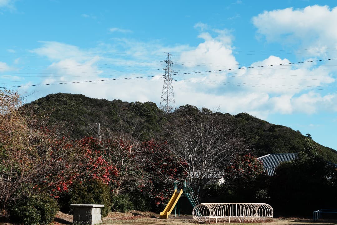 【寄れる】SONY DT 35mm F1.8 SAM SAL35F18 929