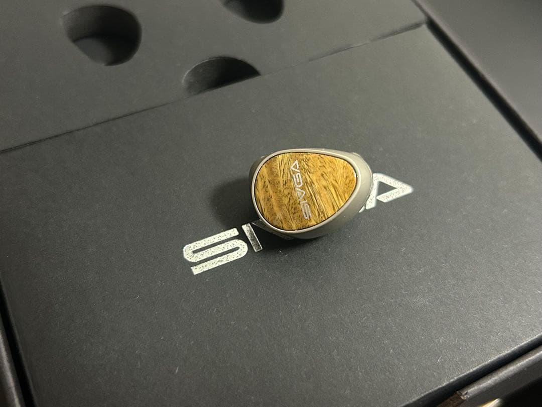 イヤホン SIVGA que utg